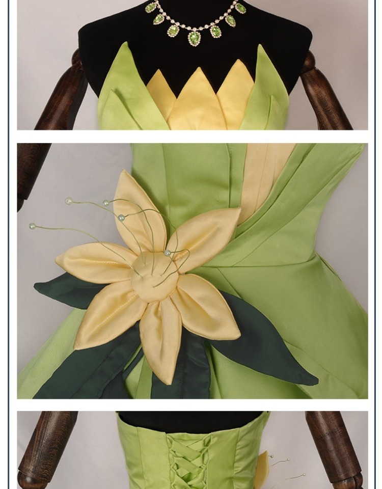 Princess Tiana Dress Cosplay C - Tech Accessories Women 评论和价格