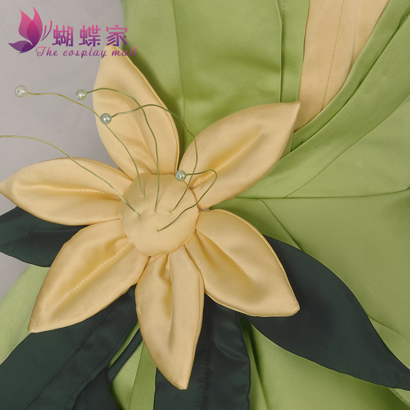 Princess Tiana Dress Cosplay C - Tech Accessories Women 评论和价格