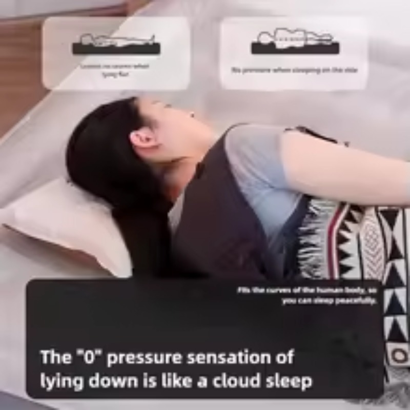 Inflatable Air Mattress Built- - Tech Queen 评论和价格